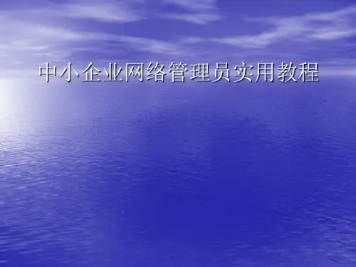 中小企业网络管理员实用教程(2)