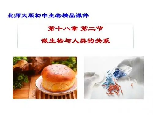 北师大版八年级生物上册课件 18.2 微生物与人类的关系