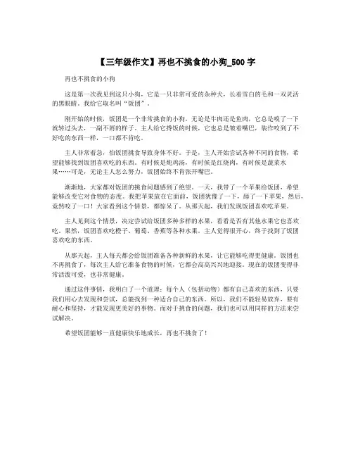 【三年级作文】再也不挑食的小狗_500字
