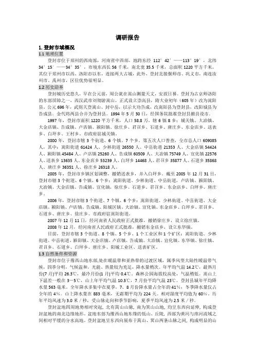 登封东城区总体规划调研报告