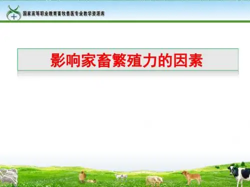126影响家畜繁殖力的因素