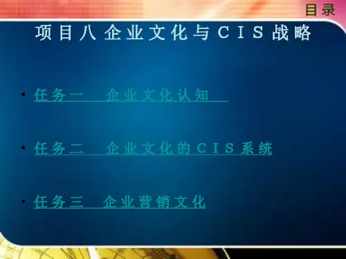 企 业 文 化 与 CIS 战 略