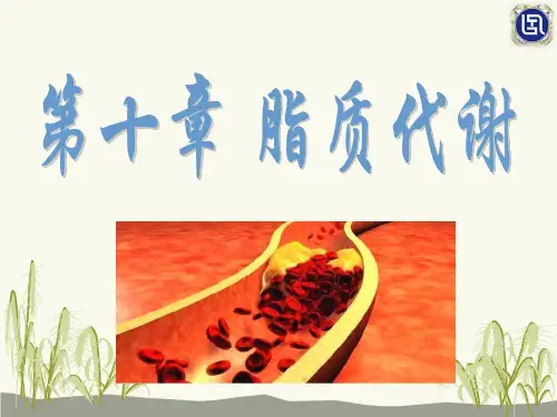 《生物化学》-脂质代谢