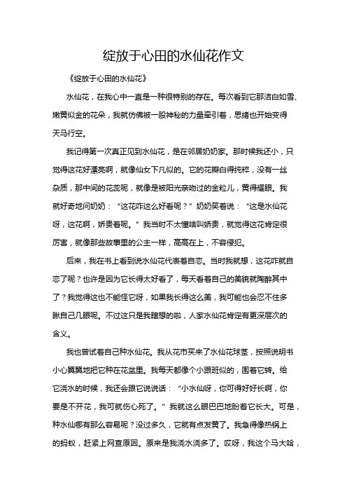 绽放于心田的水仙花作文