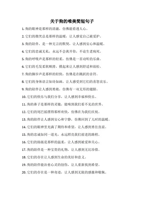 关于狗的唯美简短句子