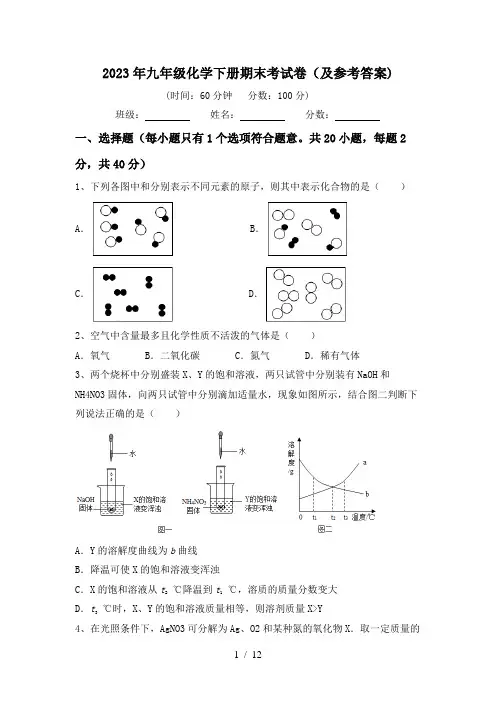 2023年九年级化学下册期末考试卷(及参考答案)