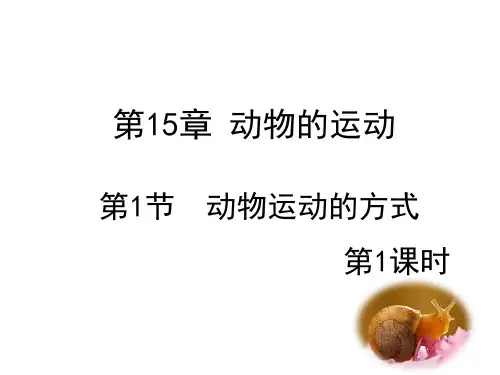 北师大版八年级生物上册第15章第1节动物的运动方式(共43张PPT)