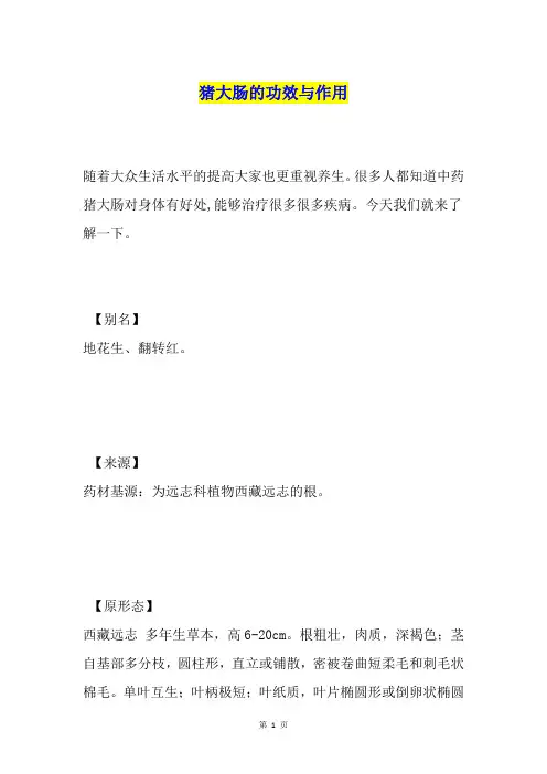 猪大肠的功效与作用