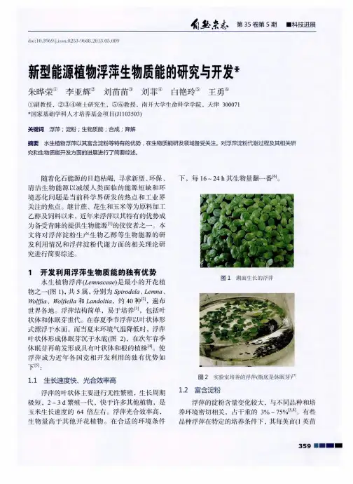 新型能源植物浮萍生物质能的研究与开发