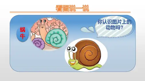 小蜗牛PPT课件完美版