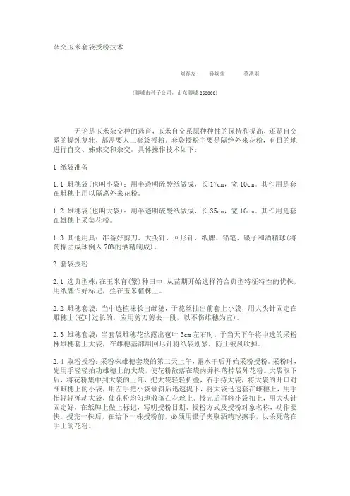 玉米套袋授粉技术)