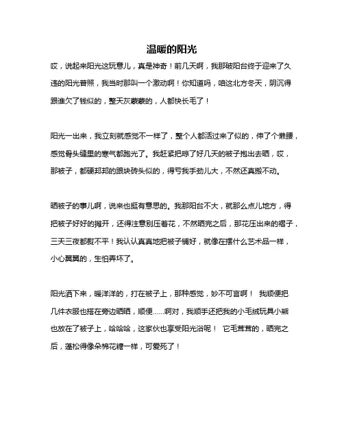 作文《温暖的阳光》