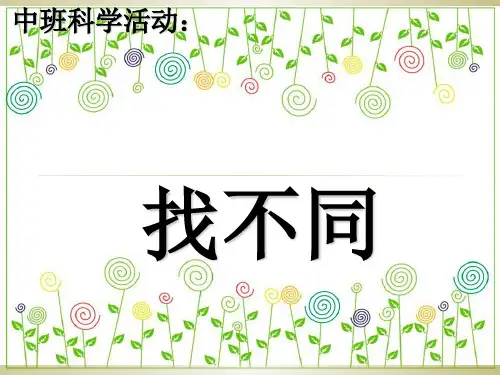中班科学活动：找不同