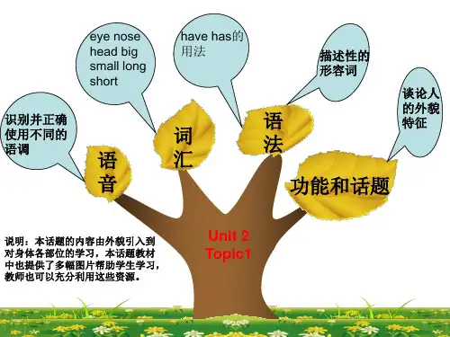 七年级英语知识树98348