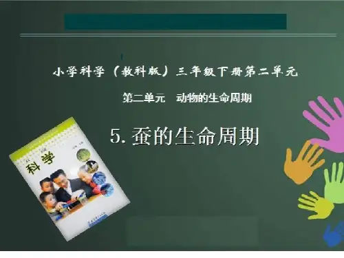 蚕的生命周期PPT