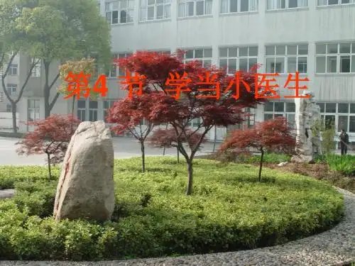 学做小医生