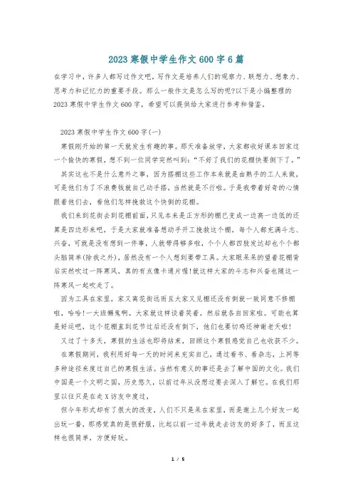 2023寒假中学生作文600字6篇