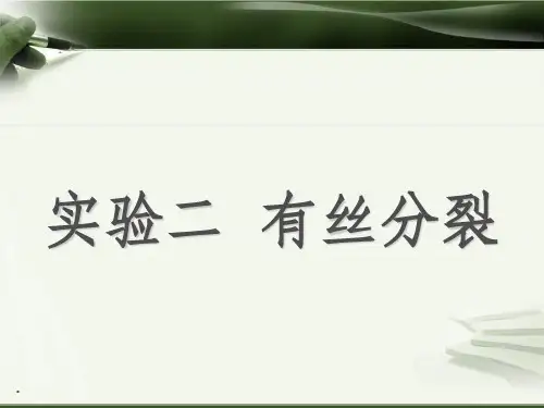 实验二-动物细胞有丝分裂观察