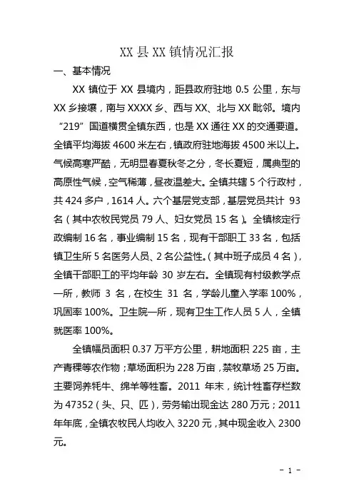 xx镇基本情况