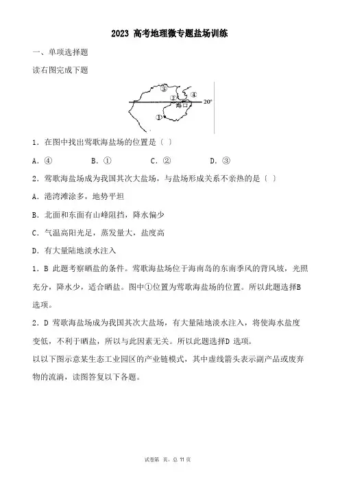 2023年高考地理微专题盐场训练