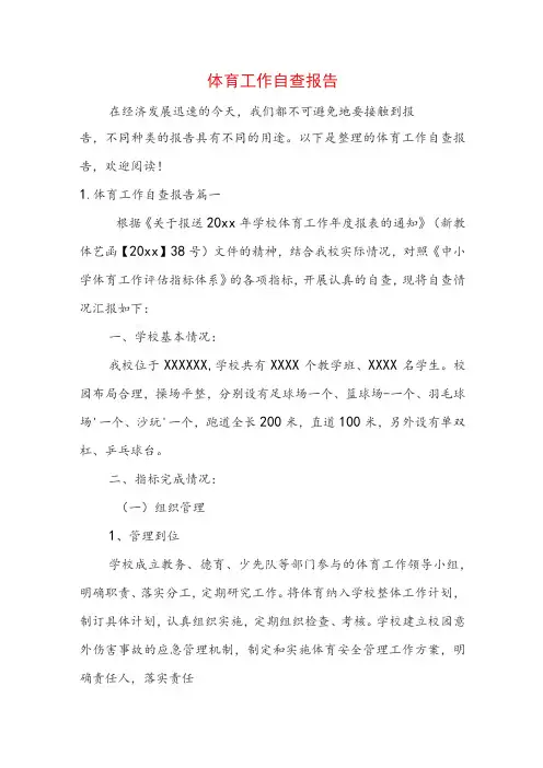 体育工作自查报告