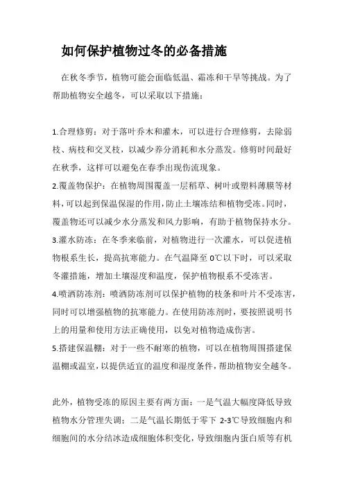如何保护植物过冬的必备措施