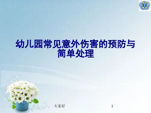 幼儿意外伤害预防和处理 PPT
