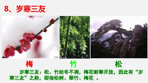 墨梅图题诗