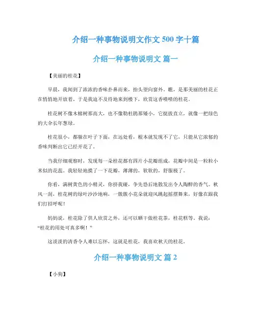 介绍一种事物说明文作文500字十篇