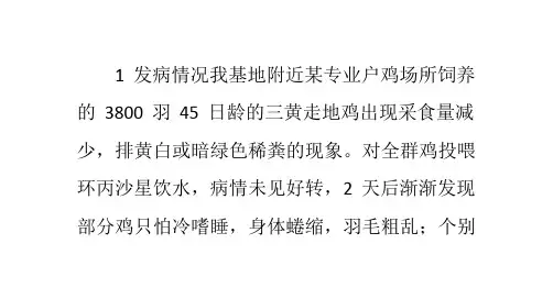 鸡组织滴虫病的诊治