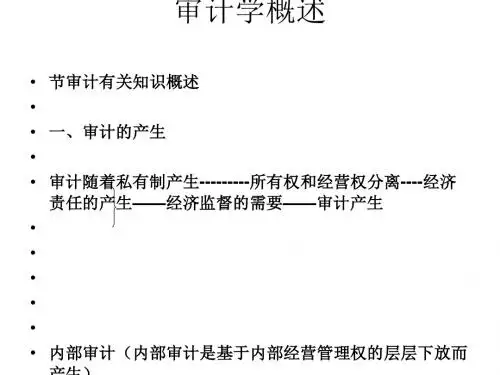 审计学概述(ppt93张)