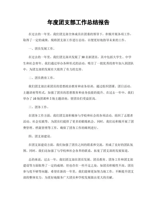 年度团支部工作总结报告