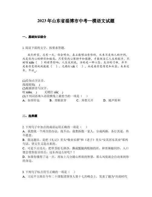 2023年山东省淄博市中考一模语文试题