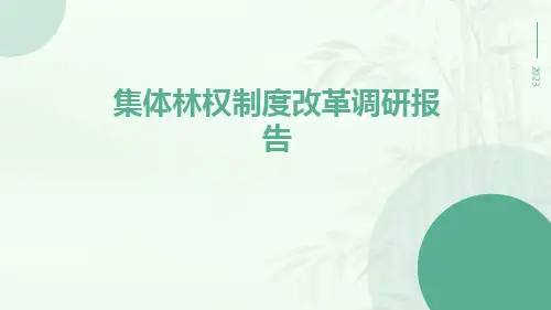 集体林权制度改革调研报告