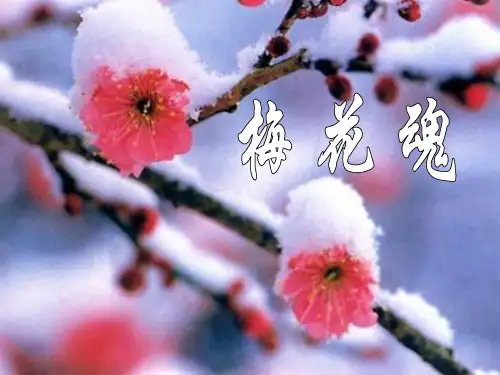 人教版五年级上册语文6《梅花魂》ppt课件
