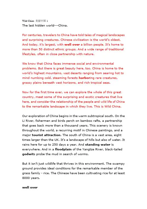美丽中国1Wild China
