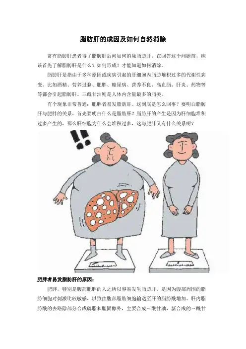 脂肪肝成因及如何自然消除？