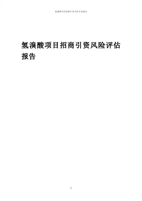 氢溴酸项目招商引资风险评估报告