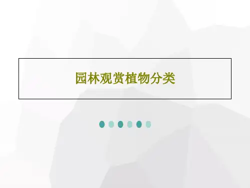 园林观赏植物分类94页PPT