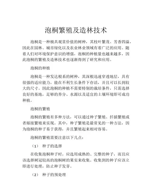 泡桐繁殖及造林技术