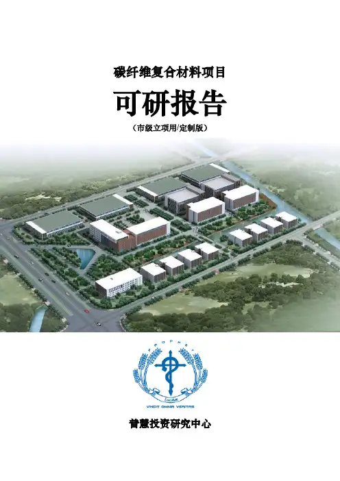 碳纤维复合材料项目可研报告市级立项用(定制版)