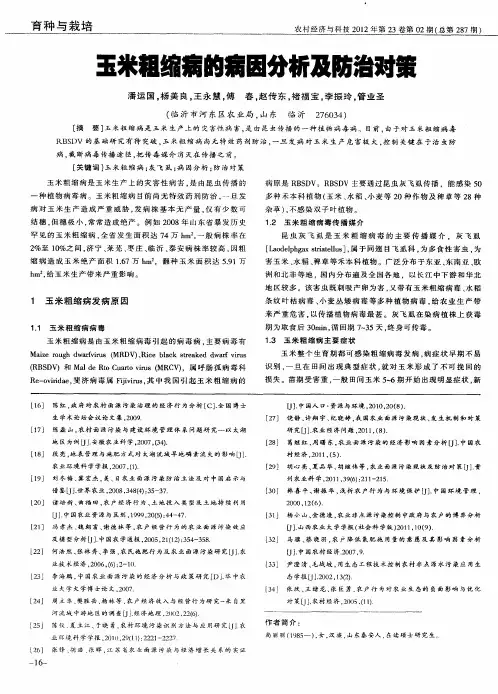 玉米粗缩病的病因分析及防治对策