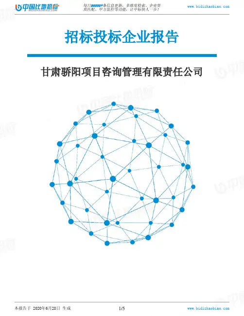 甘肃骄阳项目咨询管理有限责任公司-招投标数据分析报告