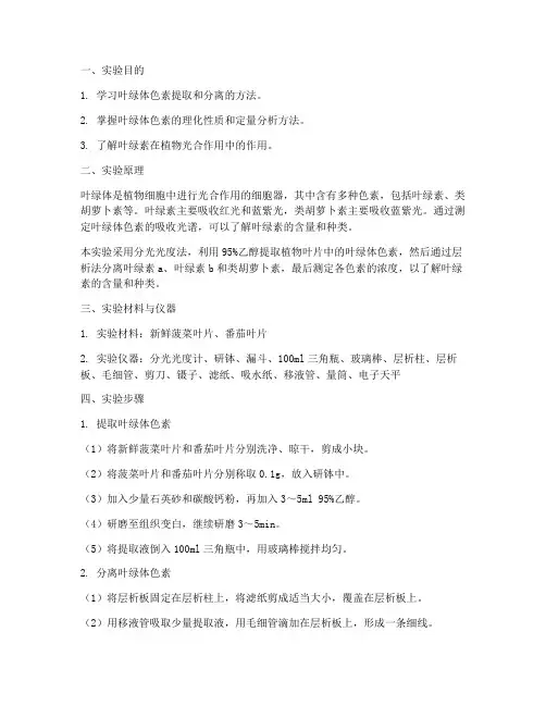 叶绿体测定实验报告