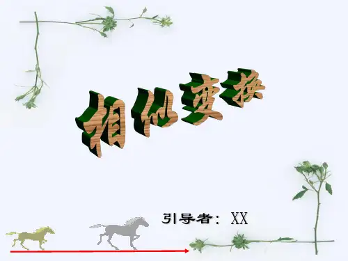 相似变换(模板)PPT.