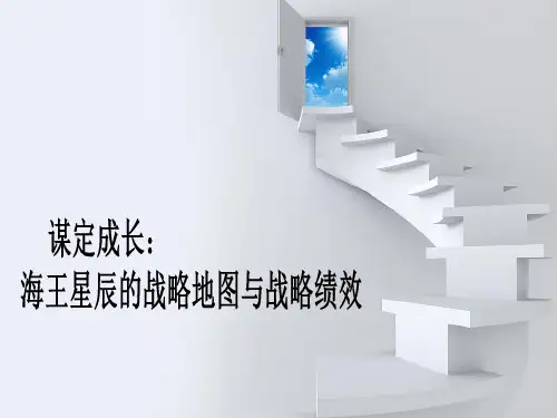 案例一：海王金尊战略地图案例ppt课件
