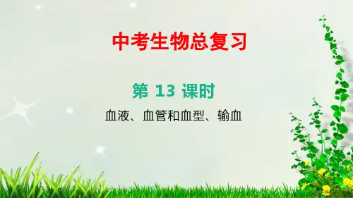 北京中考生物总复习——第13课时 血液、血管和血型、输血