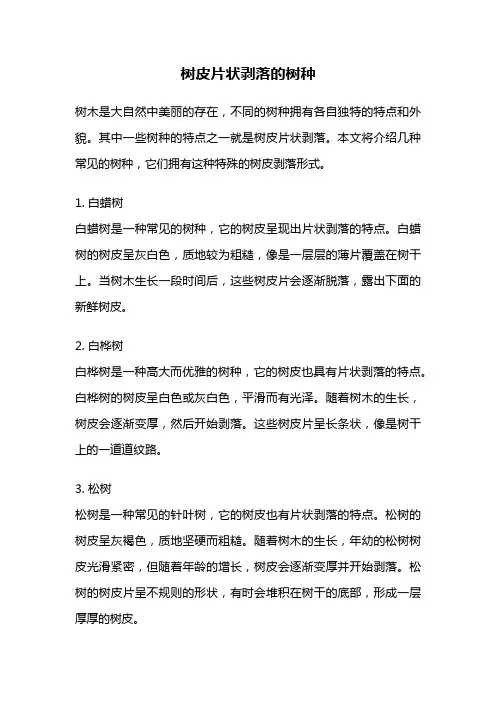树皮片状剥落的树种