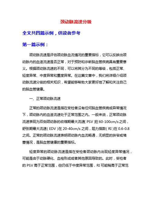 颈动脉流速分级