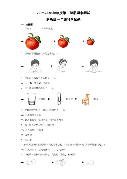 2020科教版一年级下册科学《期末测试卷》含答案
